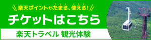 楽天ポイントがたまる、使える！チケットはこちら　楽天トラベル 観光体験