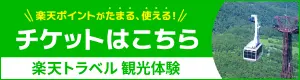 楽天トラベル