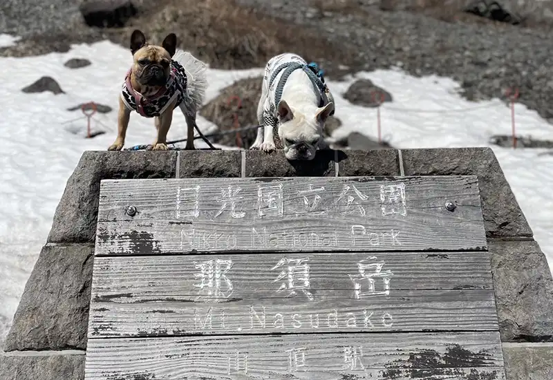 ペットについてのご案内