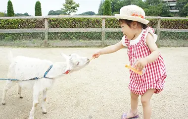 那須高原りんどう湖ファミリー牧場