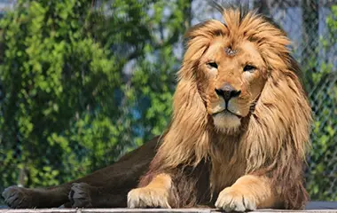 那須サファリパーク