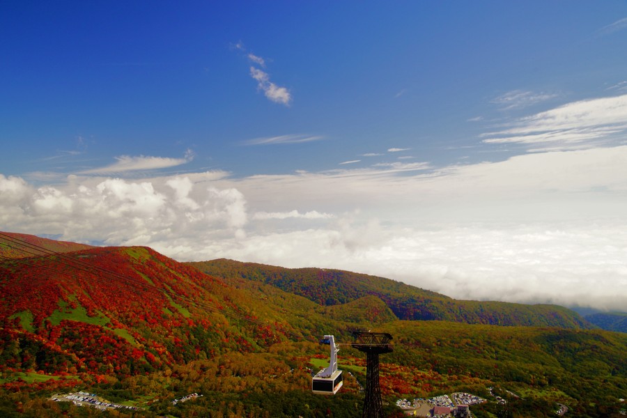 紅葉の茶臼岳