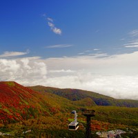 紅葉の茶臼岳